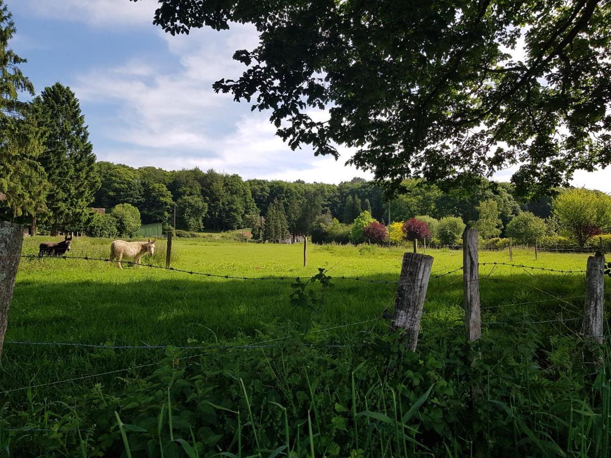 Gite En Lisiere De Foret Andaine Perrou Exterior photo